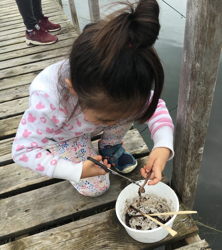 Live worms for bait